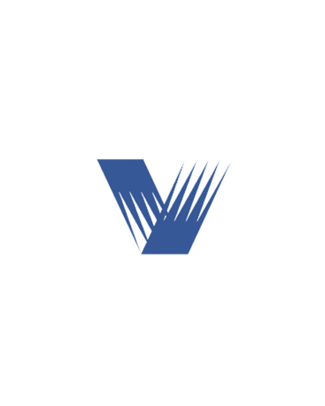 Vision Data logo