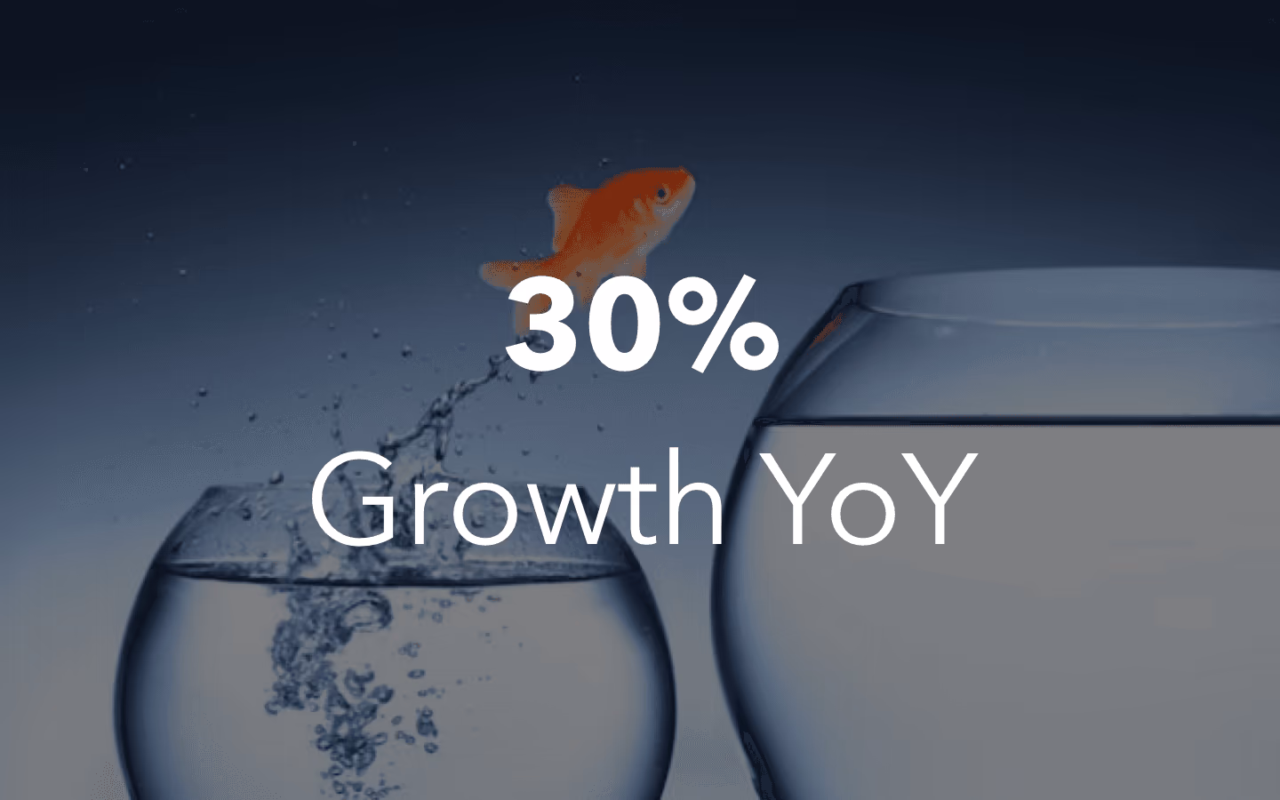 20% Willing to Pay
